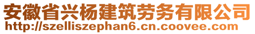 安徽省興楊建筑勞務(wù)有限公司