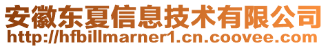 安徽東夏信息技術(shù)有限公司