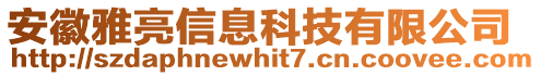 安徽雅亮信息科技有限公司