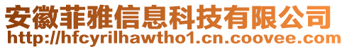 安徽菲雅信息科技有限公司