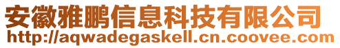 安徽雅鵬信息科技有限公司