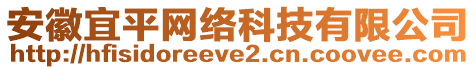 安徽宜平網(wǎng)絡(luò)科技有限公司