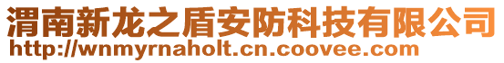 渭南新龍之盾安防科技有限公司