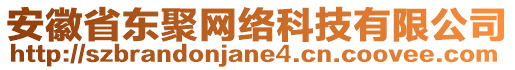 安徽省東聚網絡科技有限公司