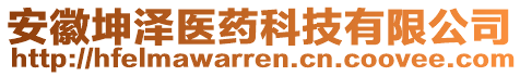 安徽坤澤醫(yī)藥科技有限公司