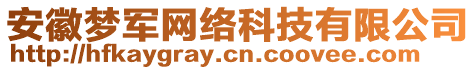安徽夢軍網絡科技有限公司