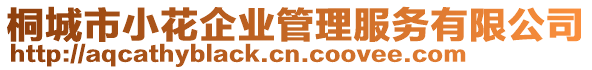 桐城市小花企業(yè)管理服務(wù)有限公司