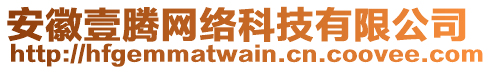 安徽壹騰網(wǎng)絡(luò)科技有限公司