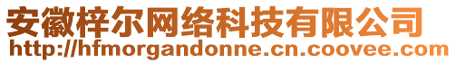 安徽梓爾網(wǎng)絡(luò)科技有限公司