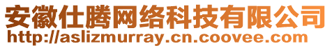 安徽仕騰網(wǎng)絡科技有限公司