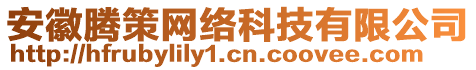 安徽騰策網(wǎng)絡(luò)科技有限公司