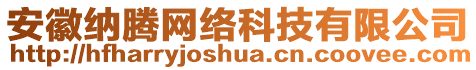 安徽納騰網絡科技有限公司