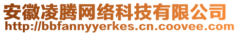 安徽凌騰網絡科技有限公司