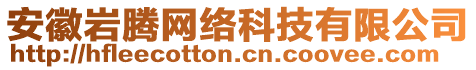 安徽巖騰網(wǎng)絡科技有限公司