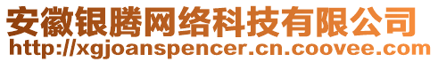 安徽銀騰網絡科技有限公司