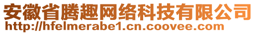 安徽省騰趣網(wǎng)絡科技有限公司