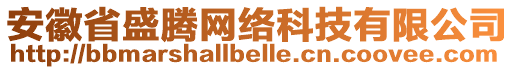 安徽省盛騰網絡科技有限公司