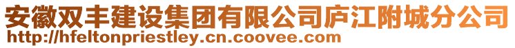 安徽雙豐建設集團有限公司廬江附城分公司