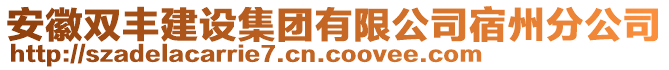 安徽雙豐建設(shè)集團(tuán)有限公司宿州分公司