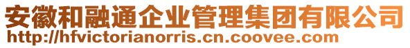 安徽和融通企業(yè)管理集團(tuán)有限公司