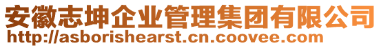 安徽志坤企業(yè)管理集團(tuán)有限公司