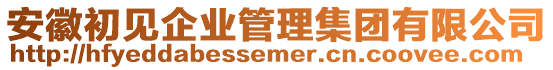 安徽初見企業(yè)管理集團(tuán)有限公司