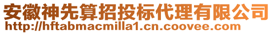 安徽神先算招投標(biāo)代理有限公司