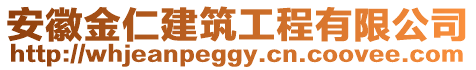 安徽金仁建筑工程有限公司