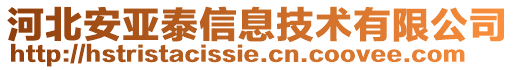 河北安亞泰信息技術有限公司