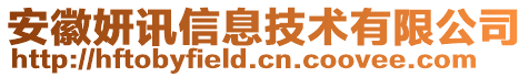 安徽妍訊信息技術(shù)有限公司