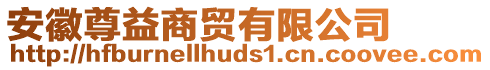 安徽尊益商貿(mào)有限公司