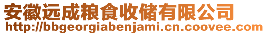 安徽遠(yuǎn)成糧食收儲(chǔ)有限公司