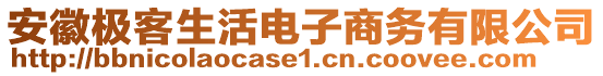 安徽極客生活電子商務(wù)有限公司