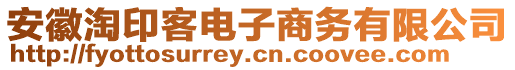 安徽淘印客電子商務(wù)有限公司