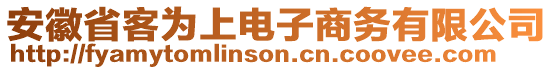 安徽省客為上電子商務(wù)有限公司