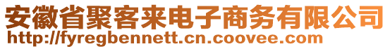 安徽省聚客來電子商務(wù)有限公司