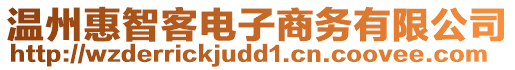 溫州惠智客電子商務(wù)有限公司