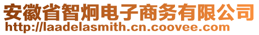 安徽省智炯電子商務(wù)有限公司