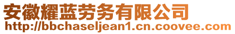 安徽耀藍(lán)勞務(wù)有限公司