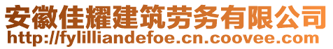 安徽佳耀建筑勞務(wù)有限公司