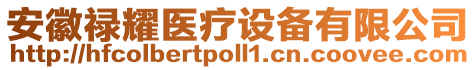 安徽祿耀醫(yī)療設(shè)備有限公司