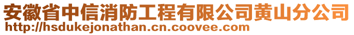 安徽省中信消防工程有限公司黃山分公司