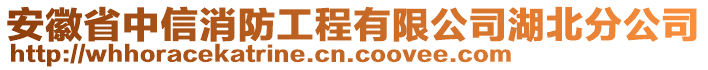 安徽省中信消防工程有限公司湖北分公司