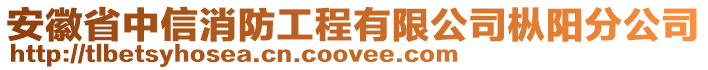 安徽省中信消防工程有限公司樅陽(yáng)分公司