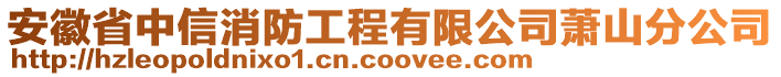 安徽省中信消防工程有限公司蕭山分公司