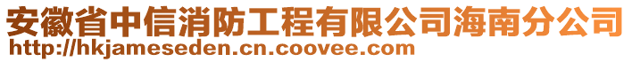 安徽省中信消防工程有限公司海南分公司