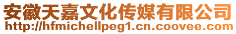 安徽天嘉文化傳媒有限公司