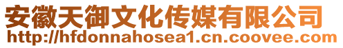 安徽天御文化傳媒有限公司