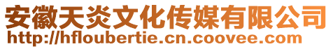 安徽天炎文化傳媒有限公司