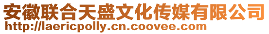 安徽聯(lián)合天盛文化傳媒有限公司